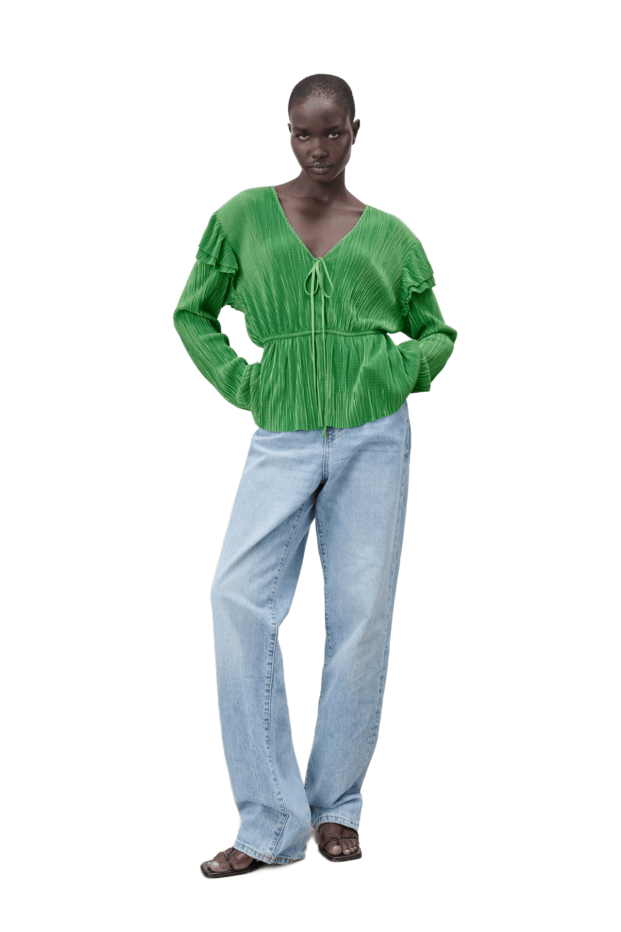 Ruffled Pleated Blouse